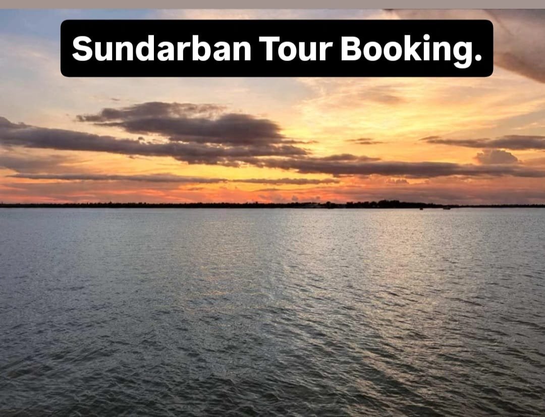 You are currently viewing Sundarban Tour Booking :  Made Easy and Hassle-Free