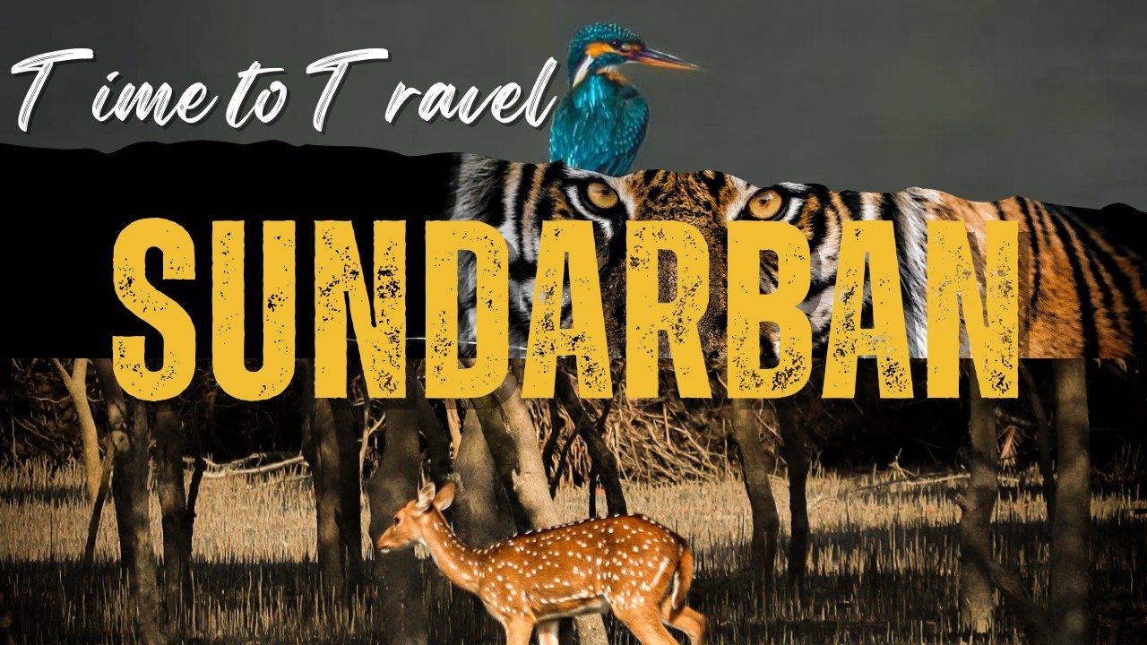 best resort in sundarban9543