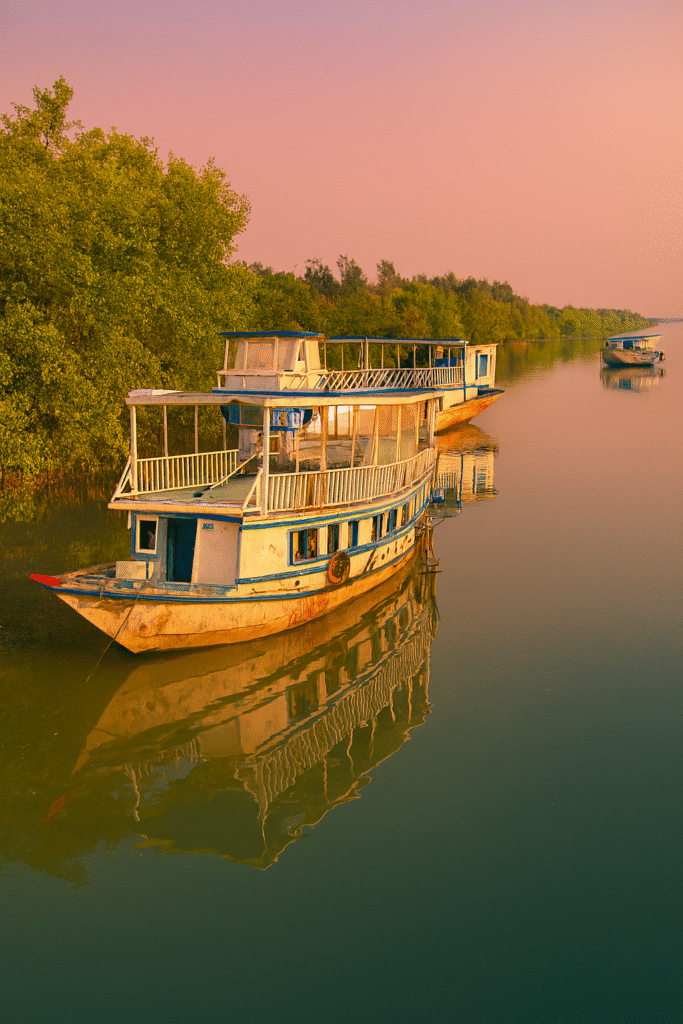 Boat Safari in Sundarban 7