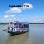 Plan the Perfect Sundarban Trip: Thrills & Unbeatable Deals