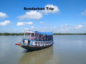 Read more about the article Plan the Perfect Sundarban Trip: Thrills & Unbeatable Deals