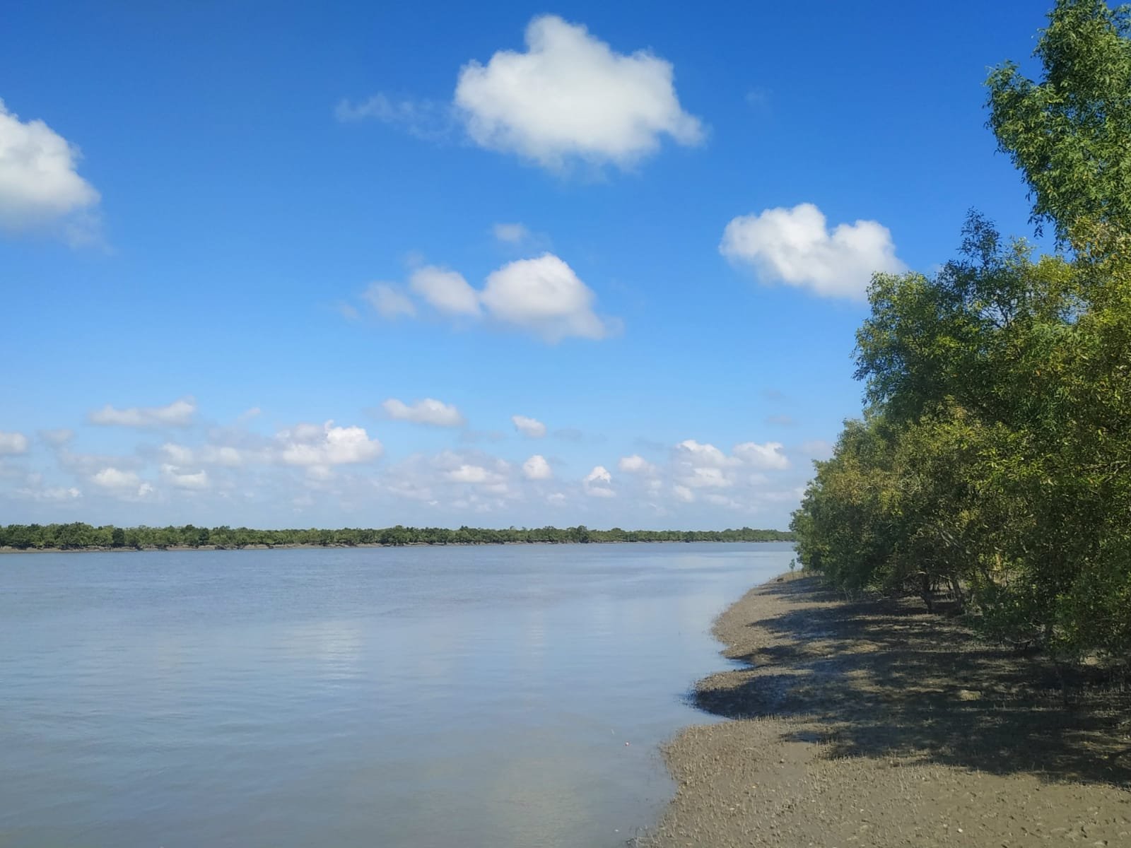 Boat safari sundarban tour