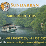 Sundarban Trip  with Boat Safari & Forest Trails