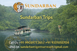 Read more about the article Sundarban Trip  with Boat Safari & Forest Trails