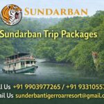 Sundarban Trip Package with Boat Safari & Forest Trails