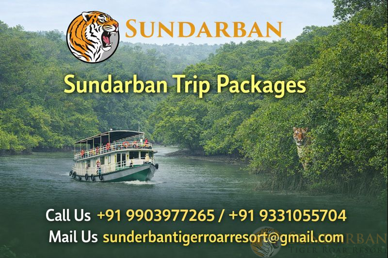 You are currently viewing Sundarban Trip Package with Boat Safari & Forest Trails