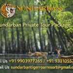 Sundarban Private Tour Package with Personalized Itineraries