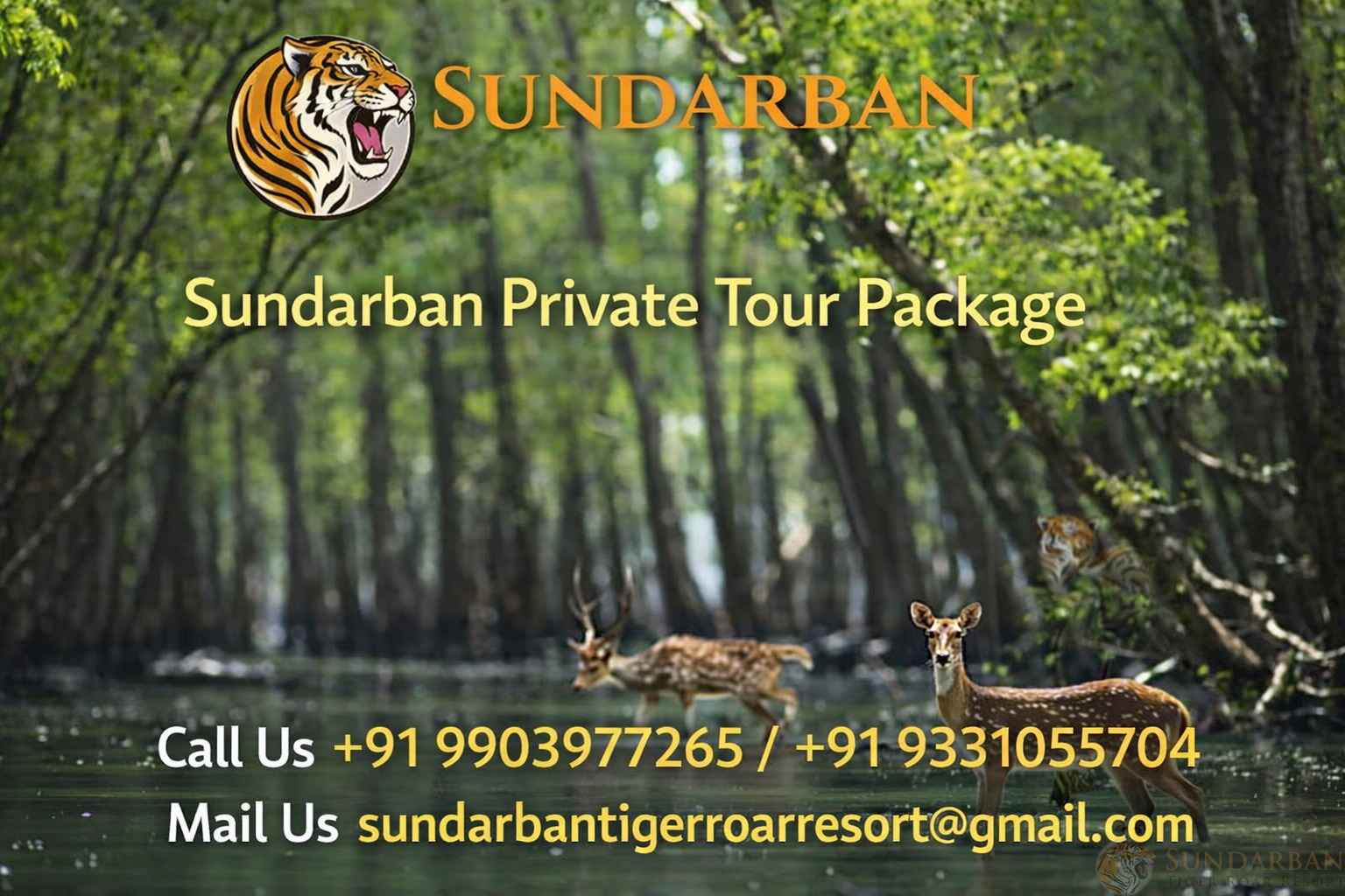 You are currently viewing Sundarban Private Tour Package with Personalized Itineraries