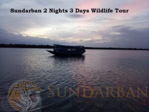 Read more about the article Sundarban 2 Nights 3 Days Wildlife Tour