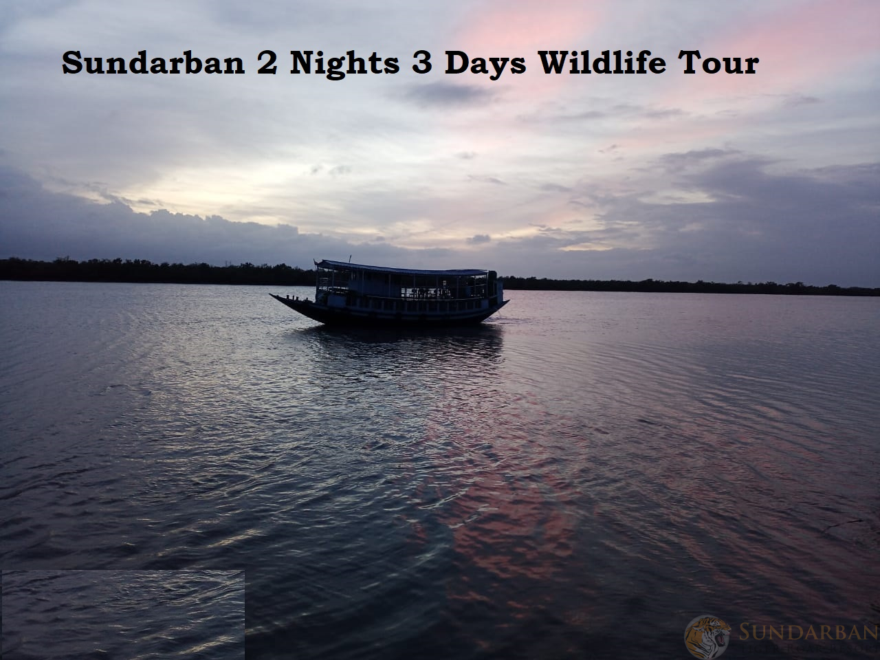 You are currently viewing Sundarban 2 Nights 3 Days Wildlife Tour