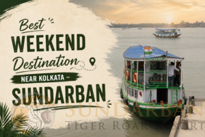 Read more about the article Best Weekend Destination Near Kolkata – Sundarban